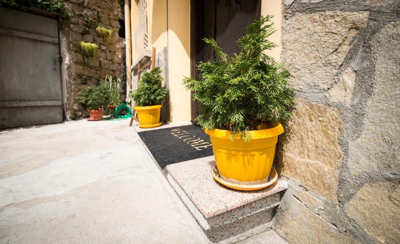 The Rocky House - Central & Private 2Bdr By Flat Mаnager Plovdiv Exteriér fotografie